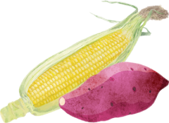 野菜のイラスト